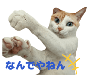 835929871