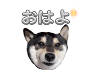 835946833