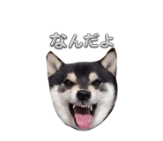 835946834