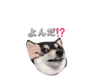 835946835