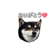 835946838