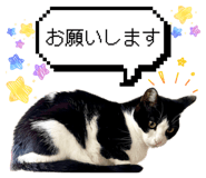 835946978