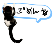 835946980