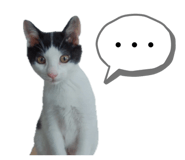 835947834