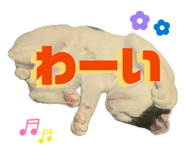 835947846