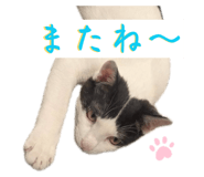 835947848