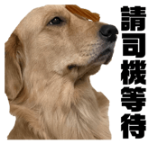 835950659