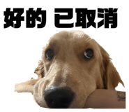 835950661