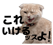 835956699