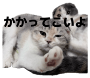 835956706