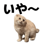 835956710