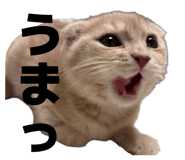 835956711
