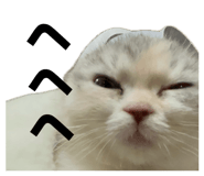 835956716
