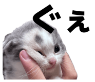 835956726