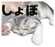 835956730