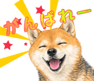 835962212