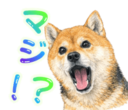 835962222