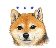835962234