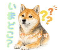 835962237