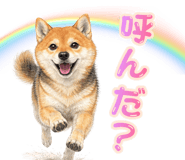 835962238