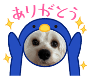 835965376