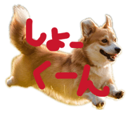 835967770