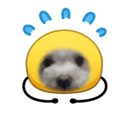 835971884