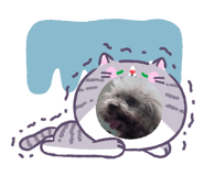835971887