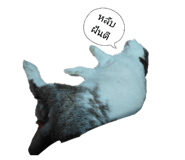 835973774