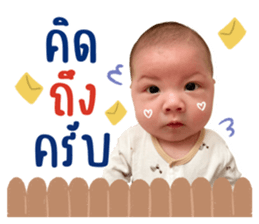 ลายที่ 13