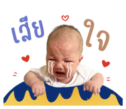 ลายที่ 17