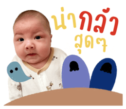 ลายที่ 25