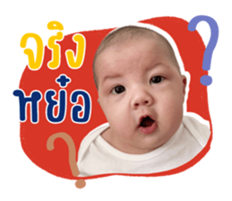 ลายที่ 29