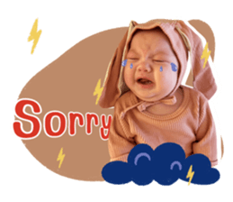 ลายที่ 31