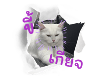 836000875