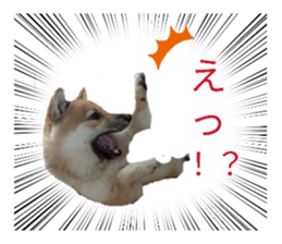 836013485