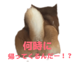 836013488