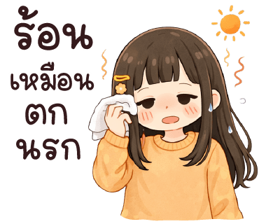 ลายที่ 13