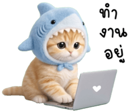 แมวน้อยน่ารัก 100% รูปที่ 1