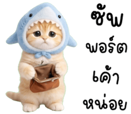 แมวน้อยน่ารัก 100% รูปที่ 2