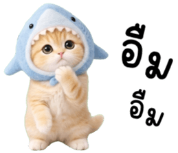 ลายที่ 5