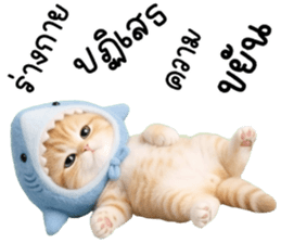 ลายที่ 7