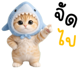 ลายที่ 9