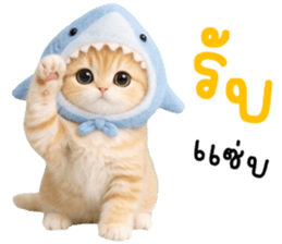 ลายที่ 11