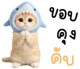 แมวน้อยน่ารัก 100% รูปที่ 8