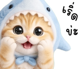 ลายที่ 17