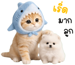 ลายที่ 21