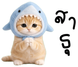 ลายที่ 27