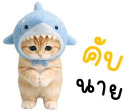 แมวน้อยน่ารัก 100% รูปที่ 16