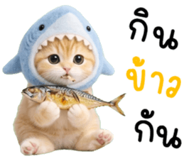 ลายที่ 35